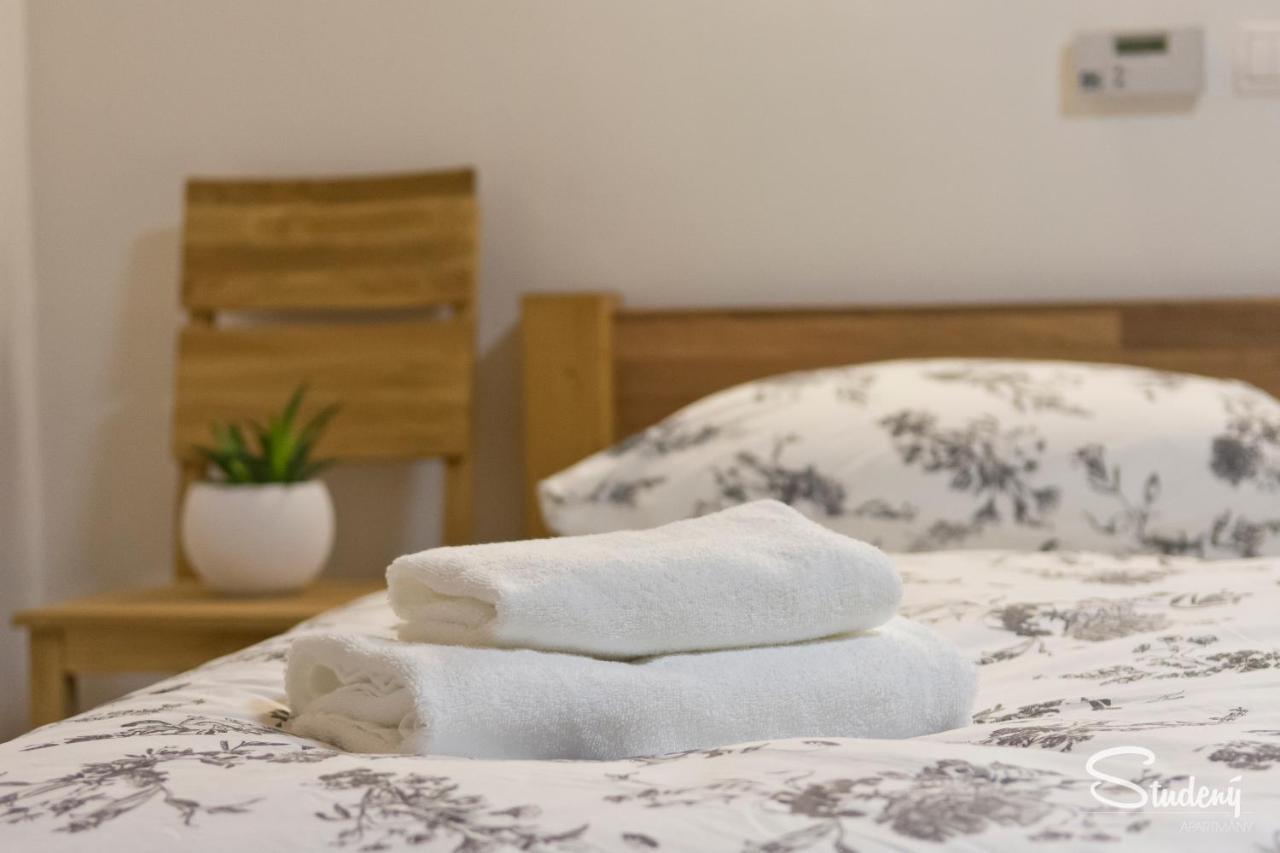 Apartmany Studeny Kunratice  Bagian luar foto
